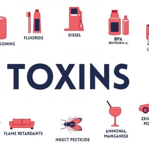 How synthetic chemicals and toxins effect your health